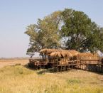 Shumba Camp (Wilderness Safaris)
